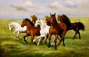 unknow artist Horses 025 oil painting on canvas
